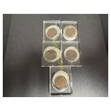 Five Indianhead pennies   TM