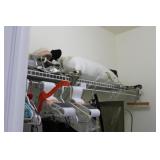 Contents of Closet incl Ladies Sandals