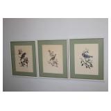 3 Bird Themed Prints 14x17