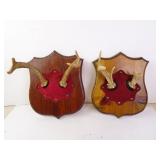 Lot of 2 Deer Antler Mounts on Wooden Plaques