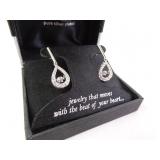 New Silver Plated Earrings Set