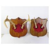 Lot of 2 Deer Antler Mounts on Wooden Plaques