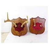 Lot of 2 Deer Antler Mounts on Wooden Plaques