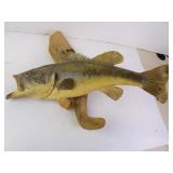 Largemouth Bass Taxidermy Fish Mount on Driftwood
