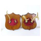 Lot of 2 Deer Antler Mounts on Wooden Plaques