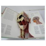 Vintage Human Body Pop-Up Book