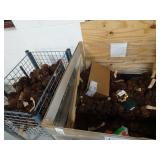 Pallet of Scented Pine Cones and Christmas Lights