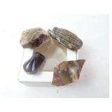 Lot of Agate/Petrified Wood Specimens