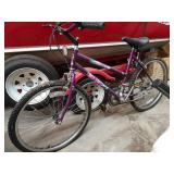 Rallye MTB Mt. Peak Bicycle