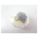 Lot of 2 Small Trilobite Fossils