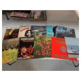Lot of 10 Vintage 33rpm Vinyl Records in Sleeves