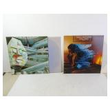 Lot of 2 Alan Parsons Project 33rpm Vinyl Records