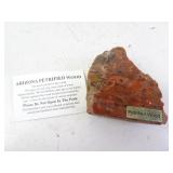 Arizona Petrified Wood Specimen with Info Card