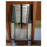 Telescoping Ladder