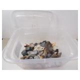 Large Lot of Seashells