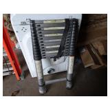 Telescoping Ladder