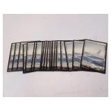 Lot of 20 MTG Snow Covered Plains Land Cards