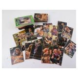 Lot of Vintage WWF & WCW Wrestling Collector
