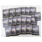 Lot of 20 MTG Snow Covered Swamp Land Cards