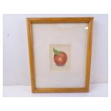 "Apple" Colored Pencil Framed Art by B. Brisson