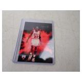 Michael Jordan Dynasty Collectibles Card