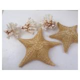 Lot of Large Dried Starfish & Coral