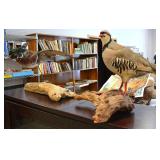 Taxidermy birds