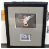 Ducks Unlimited stamps & prints