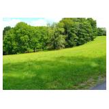 4BR/3BA RANCH 25+/-ACRE MOUNTAINTOP FARM
