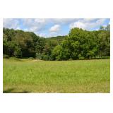 4BR/3BA RANCH 25+/-ACRE MOUNTAINTOP FARM