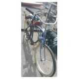 Schwinn lady