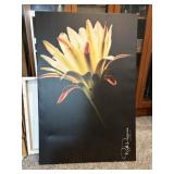 Canvas Wall decor of a flower by Ruth Pappano Canvas Wall decor of a flower by Ruth Pappano