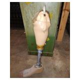 Prosthetic leg. Prosthetic leg.