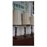 Marching pair Wooden base lamps and brass acent