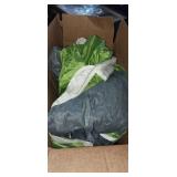 Unknown size coleman tent