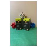 Fruits max whole food supplement 21 fruit