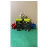 Fruits max whole food supplement 21 fruit