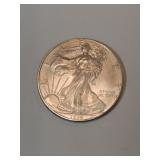 1996 silver American eagle dollar