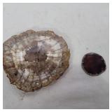 Petrified wood slice 5.5in and geode slice 2in