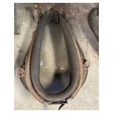 horse/mule collar