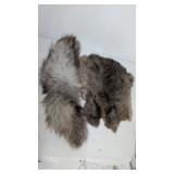 Rabbit Pelt & A Fox Tail ?