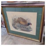 Framed J. Wolf & j. Smit lithograph of pheasant