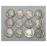 12 Indian/ buffalo nickels  unmarked
