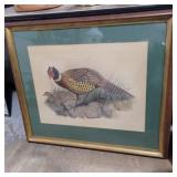 Framed J. Wolf & j. Smit lithograph of pheasant