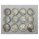 12 Indian/ buffalo nickels  1930s