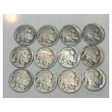 12 Indian/ buffalo nickels  1920s