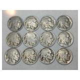 12 Indian/ buffalo nickels  1920s