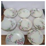 7 Rosenthal hand painted plates and 1 Silesia