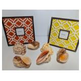 New Ceramic Photo Frames & Large seashells