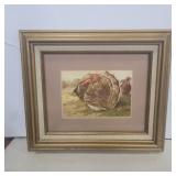 Framed Harrison Weir turkey lithograph 13in x